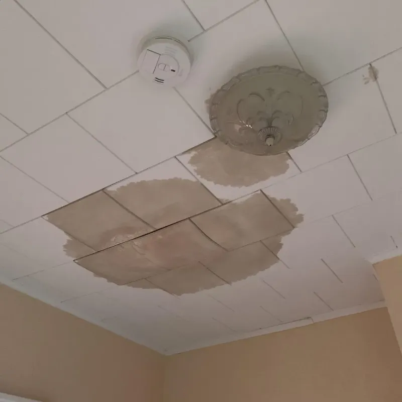 Ceiling Water Damage Repair in Leeds, ME