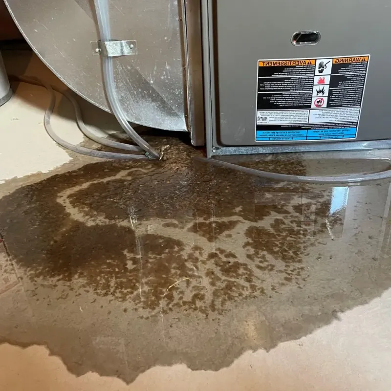 Pipe Burst and Leak Restoration in Leeds, ME
