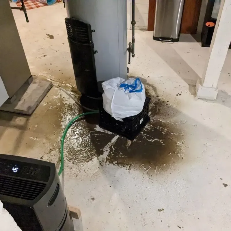 Sewage Backup Cleanup Service in Leeds, ME
